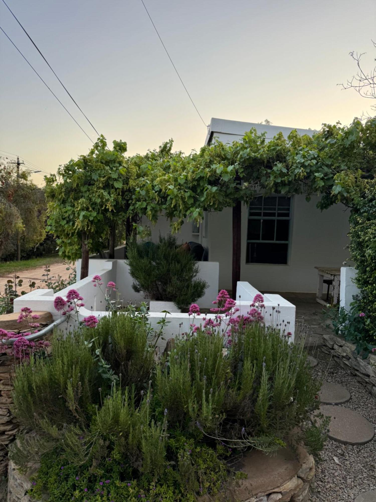 The Karoo Moon House & Cottage Barrydale Esterno foto